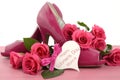 Ladies pink high heel stiletto shoes and roses Royalty Free Stock Photo