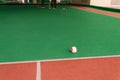 Ladies playing lawn balls