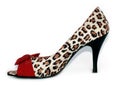 Ladies Leopard print and Red high heel shoes Royalty Free Stock Photo