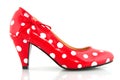 Ladies shoe Royalty Free Stock Photo