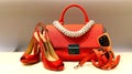 Ladies shoes, handbag and accessories Royalty Free Stock Photo