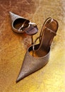 Ladies' shoes on heels Royalty Free Stock Photo