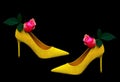 Ladies stiletto suede shoes decorated with pink rose flowers  on black background Royalty Free Stock Photo