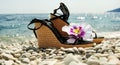 Ladies wedge-heeled shoes on the seacoast