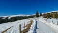 Ladinger Spitze - Snow covered hiking trail along alpine fence on the way to mountain peak Ladinger Spitz, Saualpe, Royalty Free Stock Photo