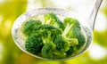 Ladle full of steamed fresh young broccoli florets Royalty Free Stock Photo