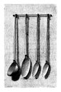 Ladles | Antique Culinary Illustrations