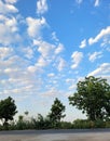 Ladnscape of cloudy blue sky and road crossings dog Royalty Free Stock Photo