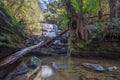 Lady Barron waterfall cascading down the rocks at Mount Field Na