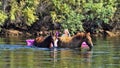 The Lady And The Beasts- wild horses and cayak- Royalty Free Stock Photo