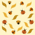 Lady birds background design