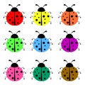 Lady birds icons