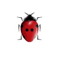 Lady bug of beetle illustration Royalty Free Stock Photo