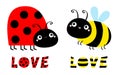 Lady bug ladybird bee bumblebee insect icon set. Side view. Cute cartoon kawaii funny baby character. Big eyes. Word Love. Happy