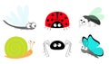 Lady bug ladybird Fly Housefly Spider Butterfly Dragonfly Snail insect icon set. Baby kids collection. Cute cartoon kawaii funny