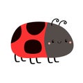 Lady bug ladybird insect icon. Cute cartoon kawaii baby character. Funny bug. Sticker print. Love greeting card. Happy Valentines Royalty Free Stock Photo