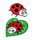 Lady bug on leaf Royalty Free Stock Photo
