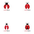 lady bug logo template vector illustration icon Royalty Free Stock Photo