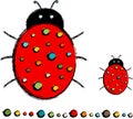 Lady Bug with Polka Dots Royalty Free Stock Photo