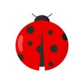 Lady bug on white background for graphic and web design, Modern simple vector sign. Internet concept. Trendy symbol for website