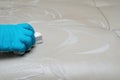 Lady cleaning leather sofa with sponge Royalty Free Stock Photo