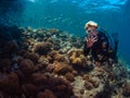 Lady diver with school of diamondfish