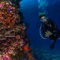 Lady diver and spectacular wall of coral