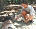 Lady ejoying feeding a kangoroo