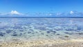 Lady Elliot Island