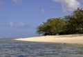 Lady Elliot Island beach