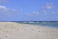 Lady Elliot Island beach