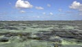 Lady Elliot Island lagoon