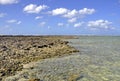 Lady Elliot Island shoreline