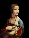 Lady with an Ermine - Portrait of Cecilia Gallerani, 1490, tempera on wood panel. National Museum, Royalty Free Stock Photo