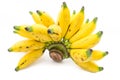 Lady Finger Banana Royalty Free Stock Photo