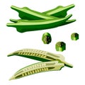 Lady finger. Okra set. Gumbo. Whole okra, half, chopped, slices okra. Flat okra. Exotic vegetables. Vector illustrations