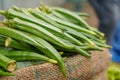 Lady Finger Okra in the vegetable market Royalty Free Stock Photo