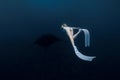 Lady freediver with fins with manta ray. Freediving with manta rays Royalty Free Stock Photo