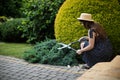 A lady gardener trims a Blue Chip Juniperus horizontalis creeping juniper.