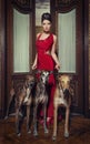 Lady with greyhounds Royalty Free Stock Photo