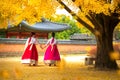 Lady in hanbok dress walk in seoul palace Royalty Free Stock Photo