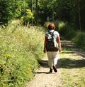 Lady Hiker Royalty Free Stock Photo