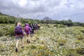 Lady hiking group at walking at hill