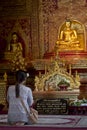 A lady holding a lotus flower while praying to the golden Phra Buddha Sihing statue at Wat Phra Singh in Chiang Mai, Thailand. at Royalty Free Stock Photo