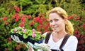 Young woman gardening, holding young flower plants, container-grown plant, woman planting begonia seedlings in garden