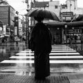 Lady In Kimono