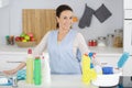 lady in kitchen with various cleaning products Royalty Free Stock Photo