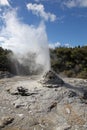 Lady Knox Geyser Rotorua New Zealand