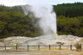 Lady Knox Geyser