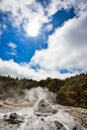 Lady Knox Geyser while Erupting in Wai-O-Tapu Geothermal Area, New Zealand Royalty Free Stock Photo